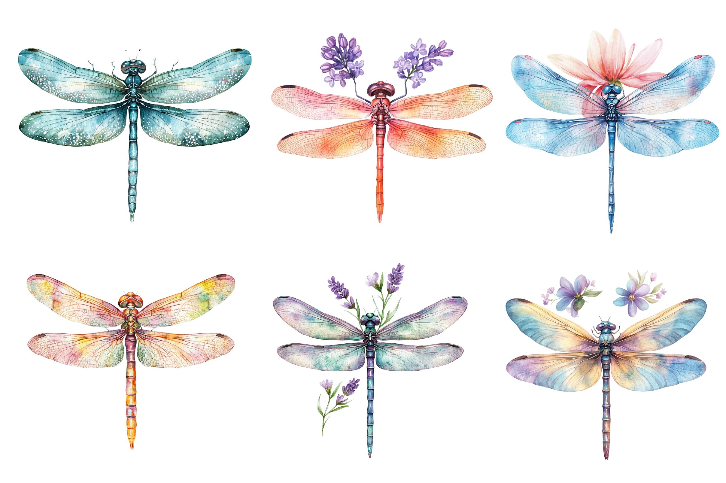 Spring Dragonflies Border Clipart Bundle - CraftNest - Digital Crafting and Art