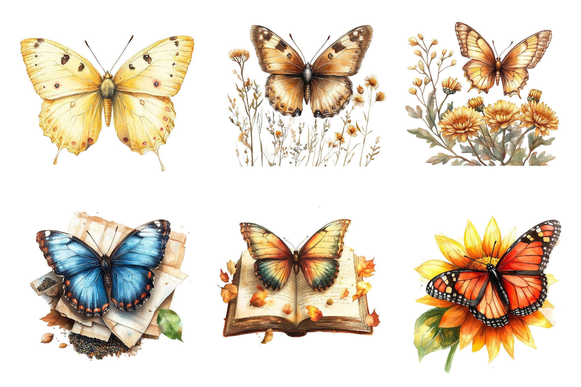 Fall Butterfly Garden Clipart Bundle 1 - CraftNest - Digital Crafting and Art