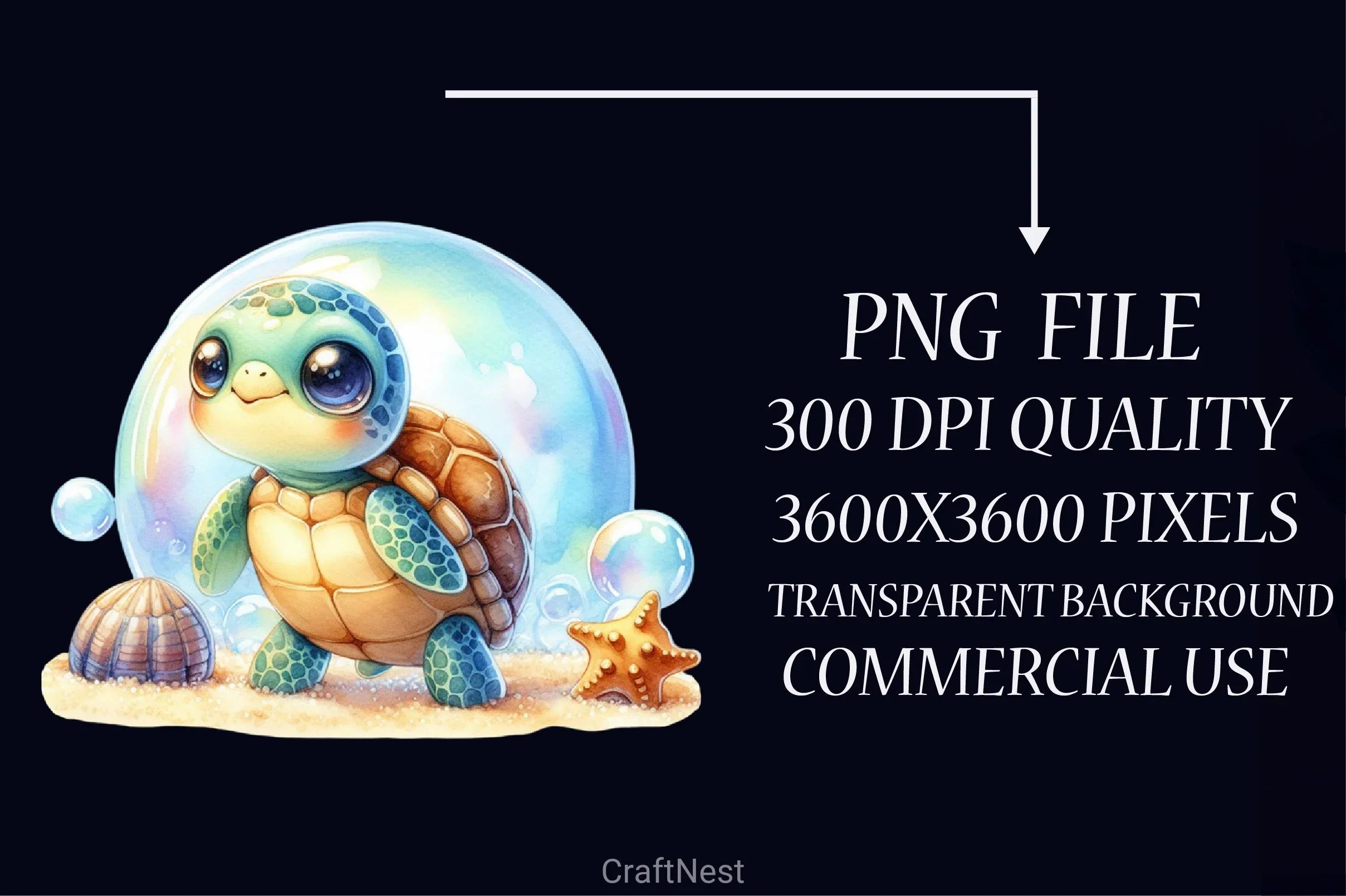 Baby Sea Turtle Corals Clipart Bundle - CraftNest - Digital Crafting and Art