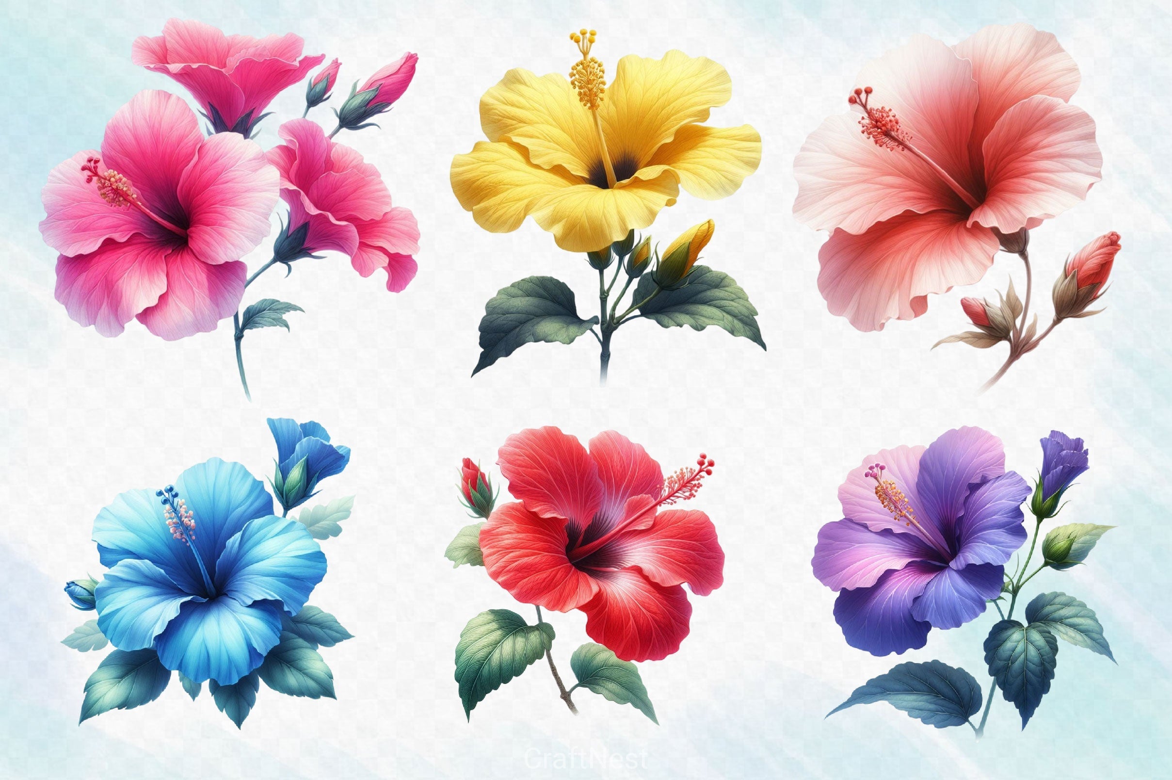 Colorful Hibiscus Clipart Bundle