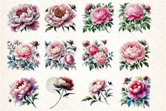 Peonies Clipart Bundle - CraftNest - Digital Crafting and Art