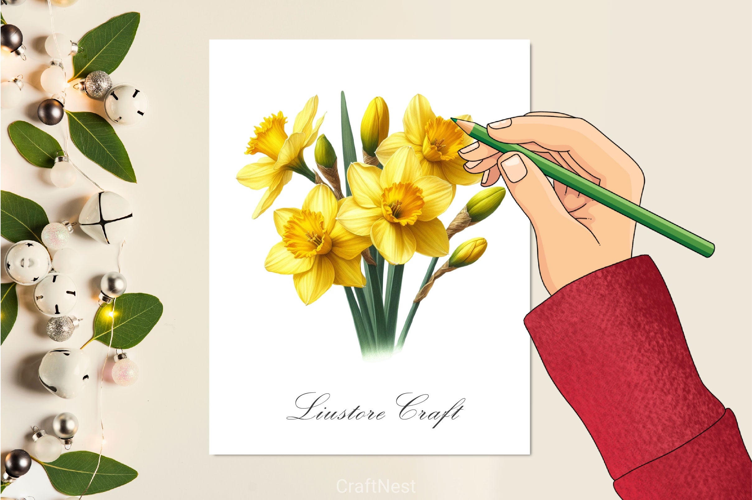 Daffodil Flowers Clipart Bundle