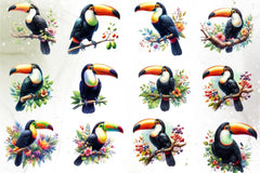 Toucan Rainforest Clipart Bundle - CraftNest - Digital Crafting and Art