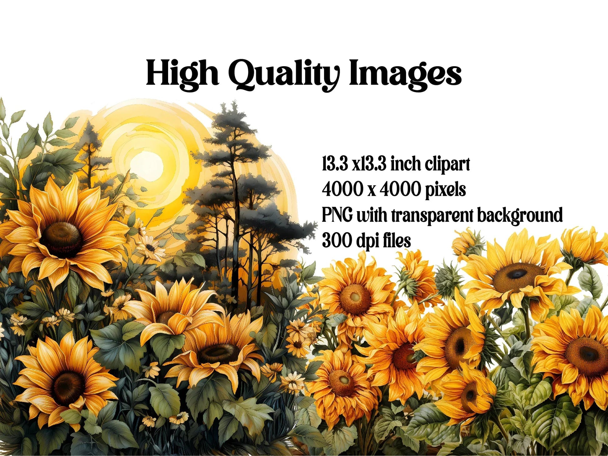 Sunflowers At Dusk Clipart - CraftNest