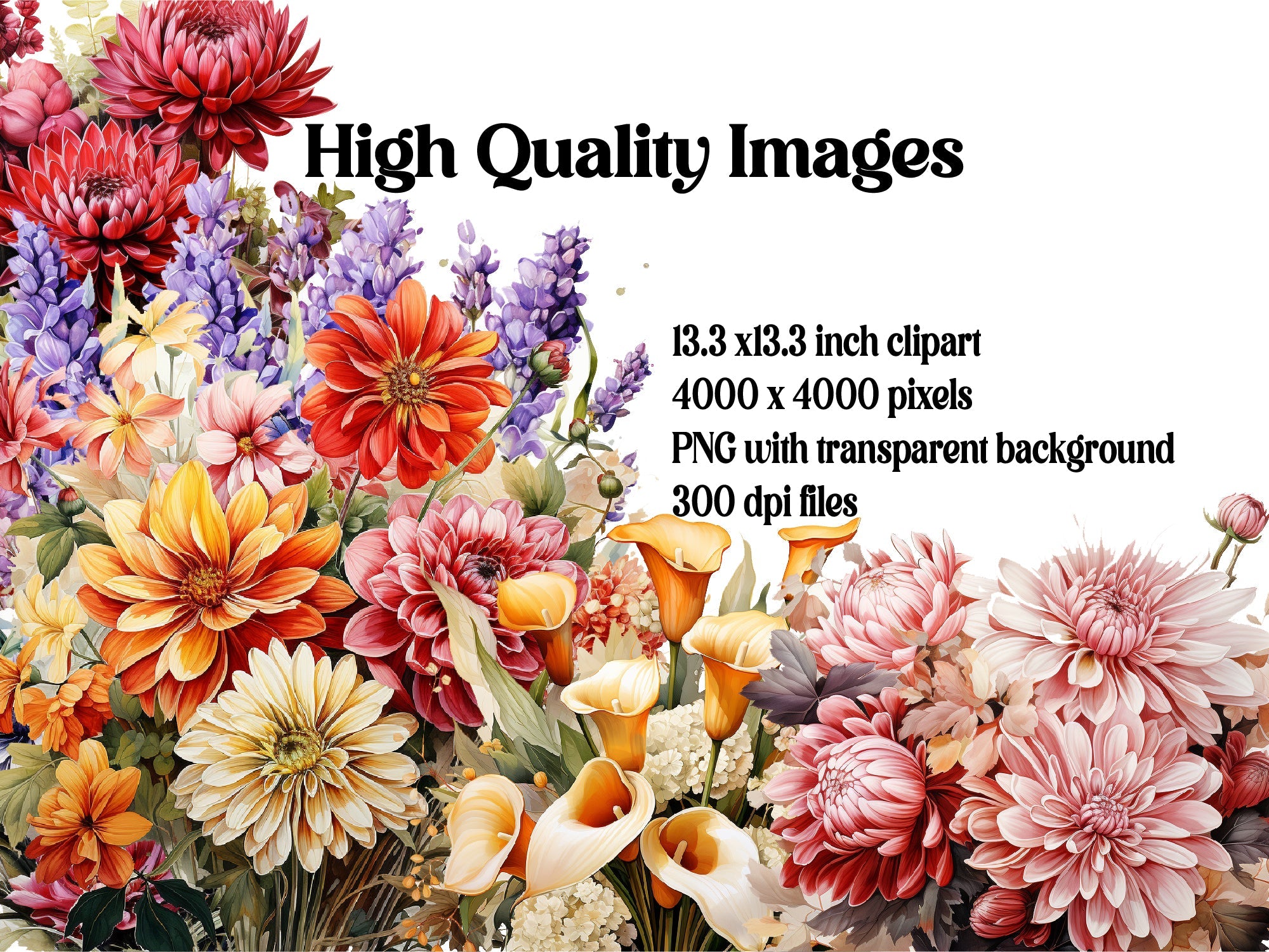 Autumn Floral Beauty Clipart - CraftNest