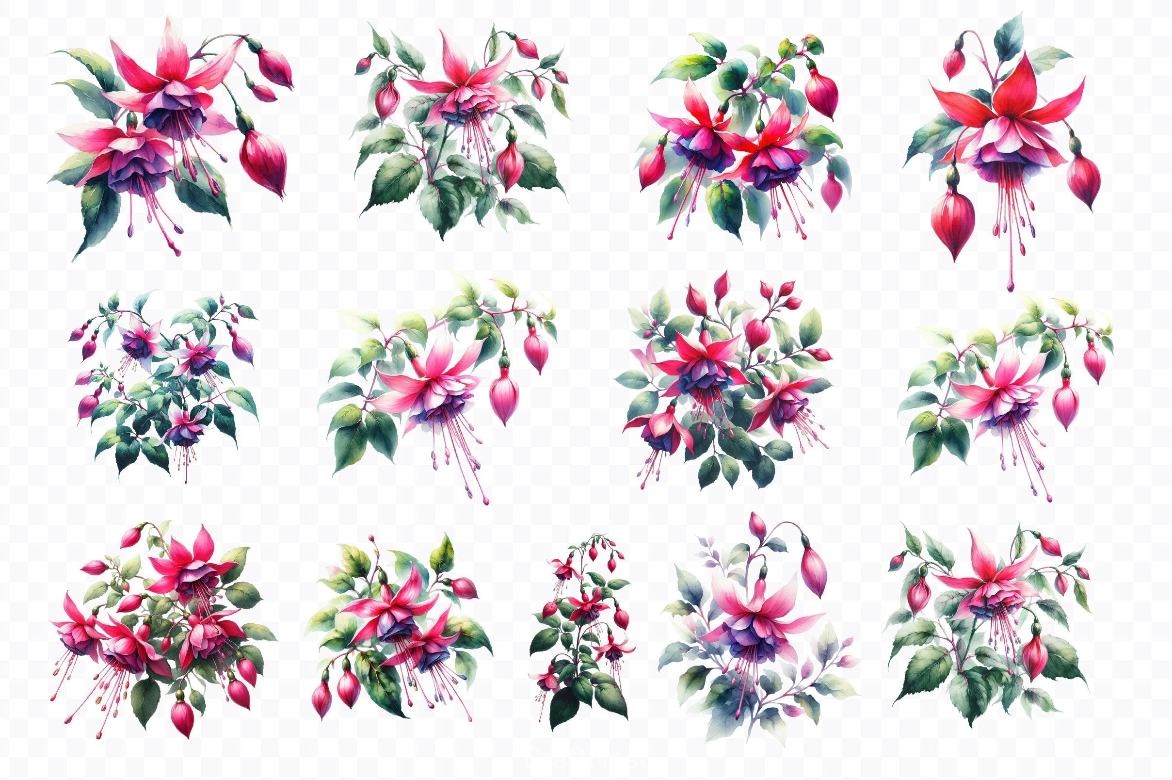 Fuchsia Flowers Clipart Bundle