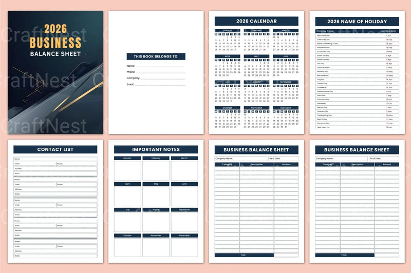 Business Balance Sheet Overview - CraftNest - Digital Crafting and Art