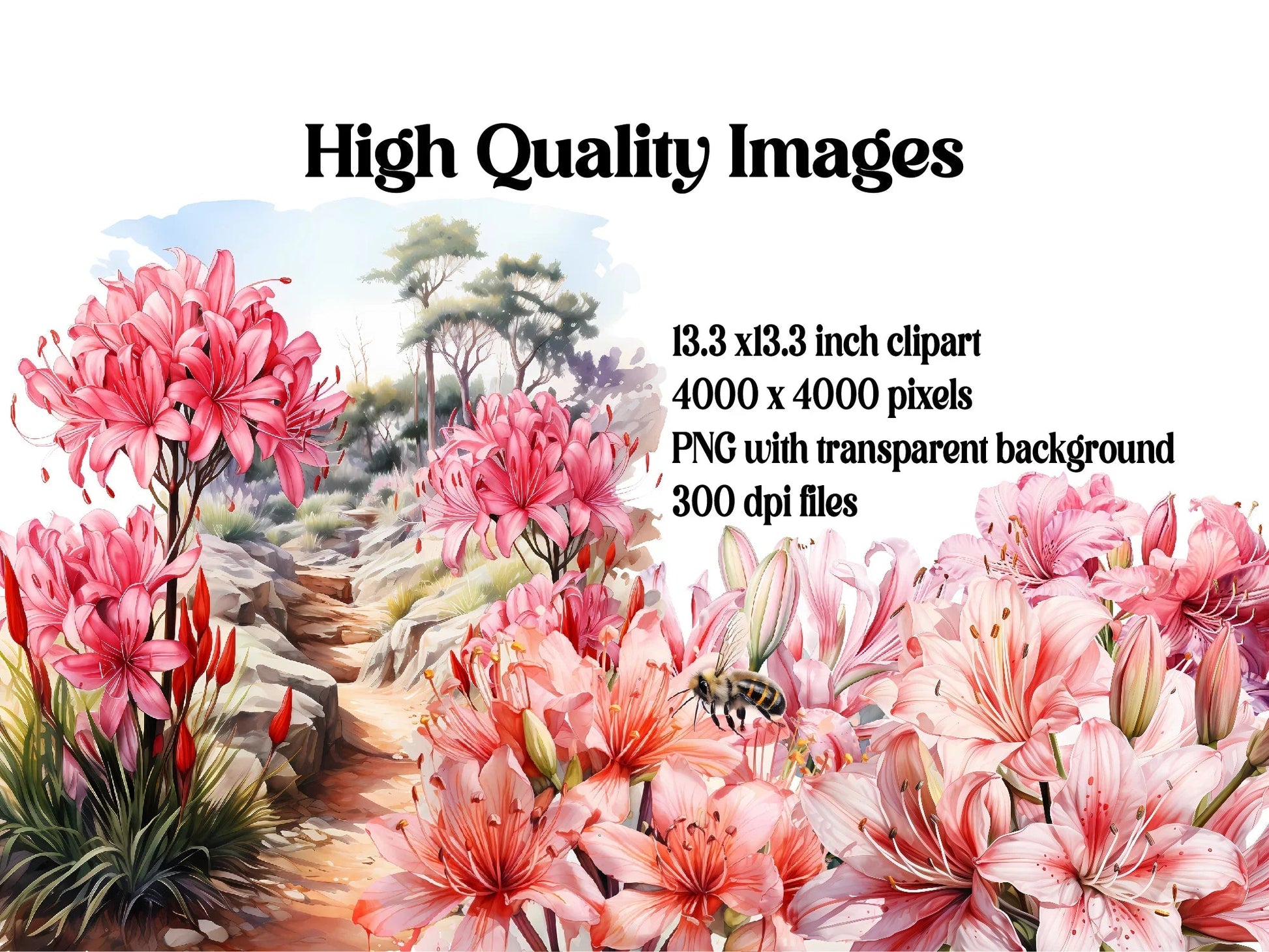 Nerine Novelties Clipart - CraftNest