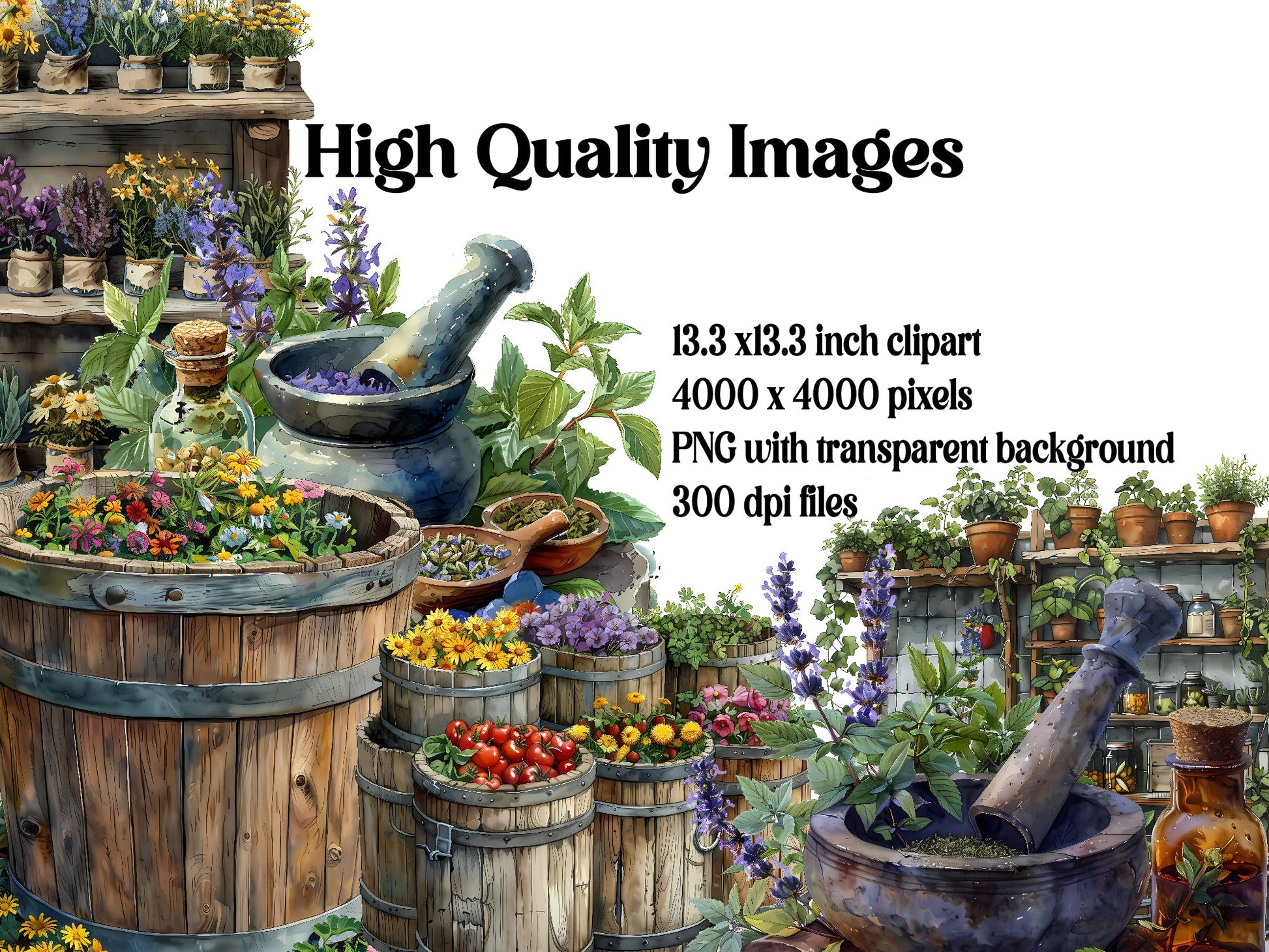 Herbalism Clipart - CraftNest - Digital Crafting and Art
