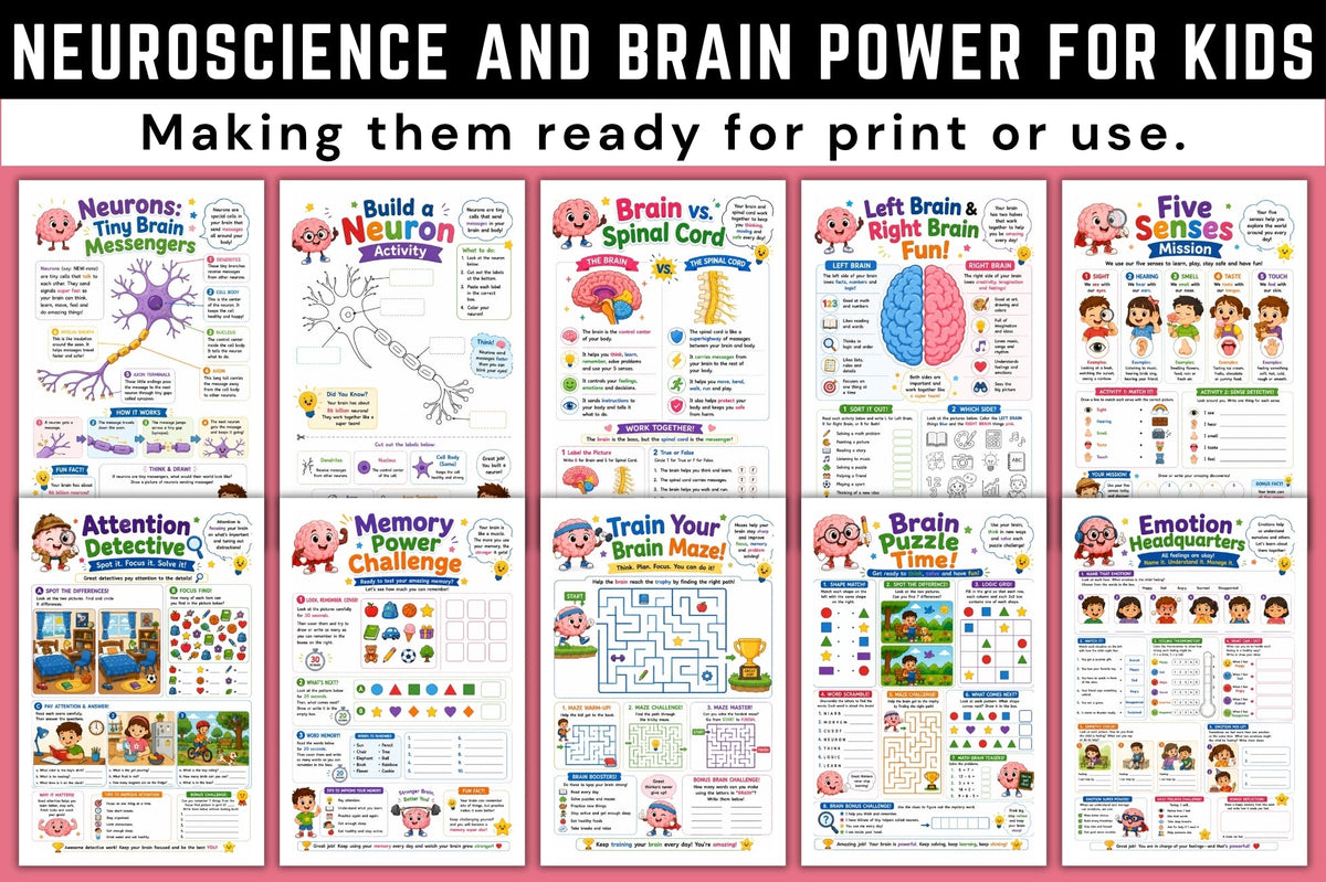 Neuroscience And Brain Power For Kids