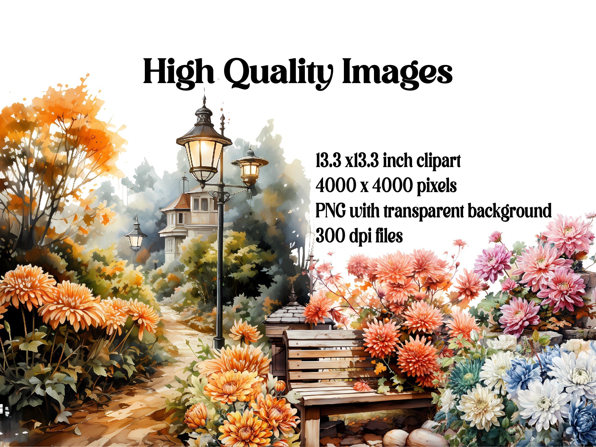 Chrysanthemum Bloom Clipart - CraftNest