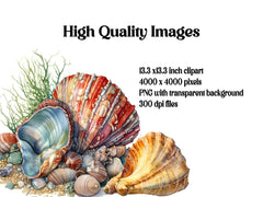 Sea Shell Clipart - CraftNest