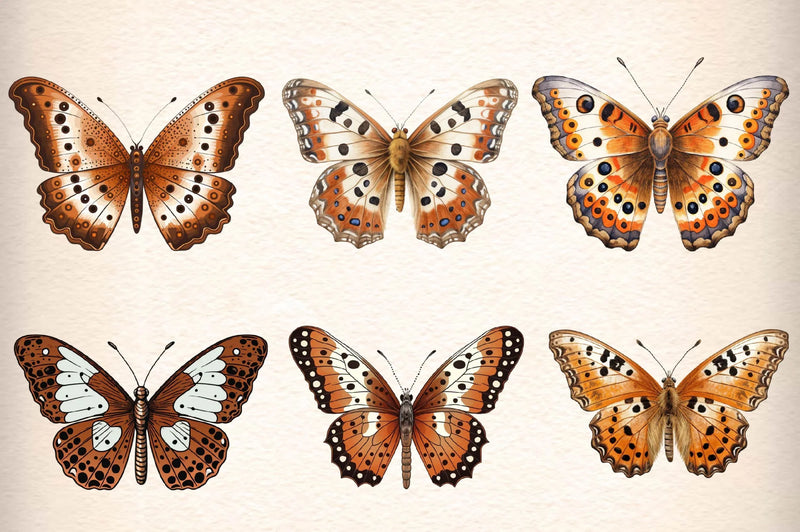 Vintage Butterflies Wings Clipart Bundle - CraftNest - Digital Crafting and Art