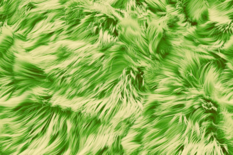 Seamless Fur Pattern Bundle - CraftNest - Digital Crafting and Art
