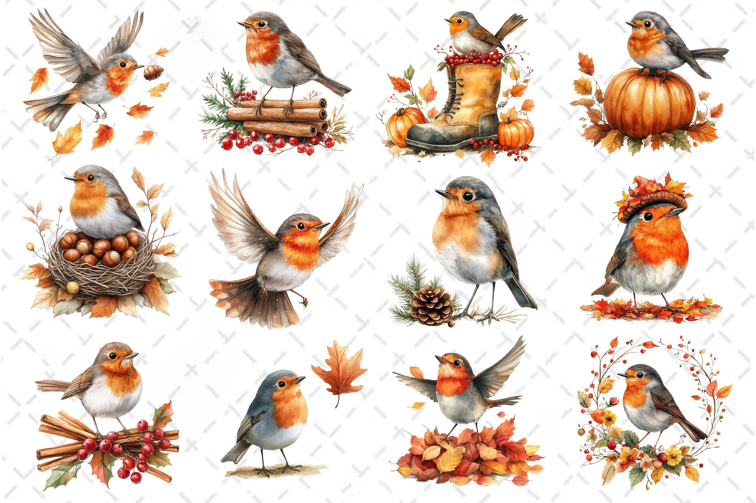 Robin Birds Clipart Bundle