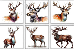 Deer Clipart Bundle - CraftNest - Digital Crafting and Art