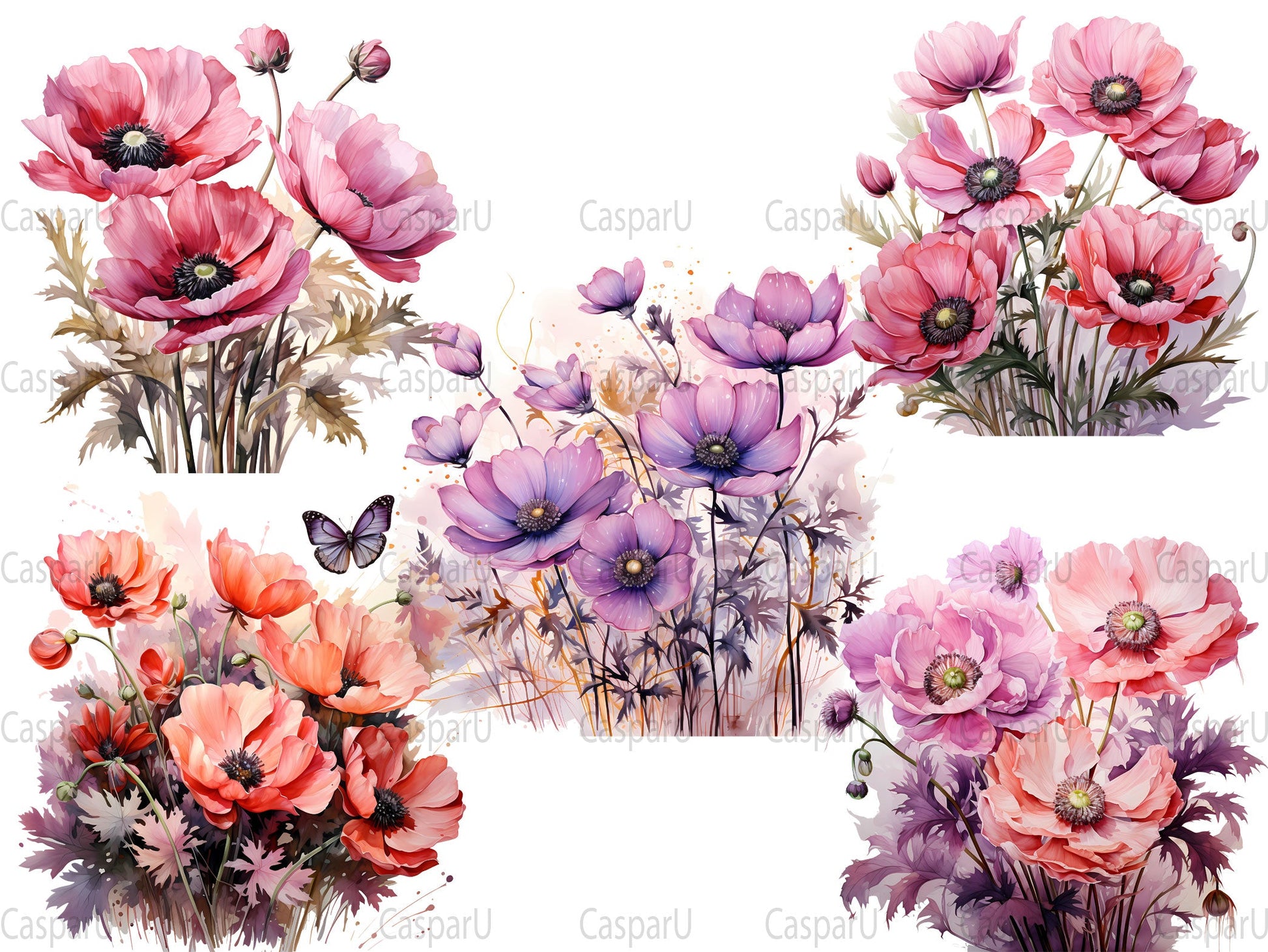 Anemone Afterglow Clipart - CraftNest