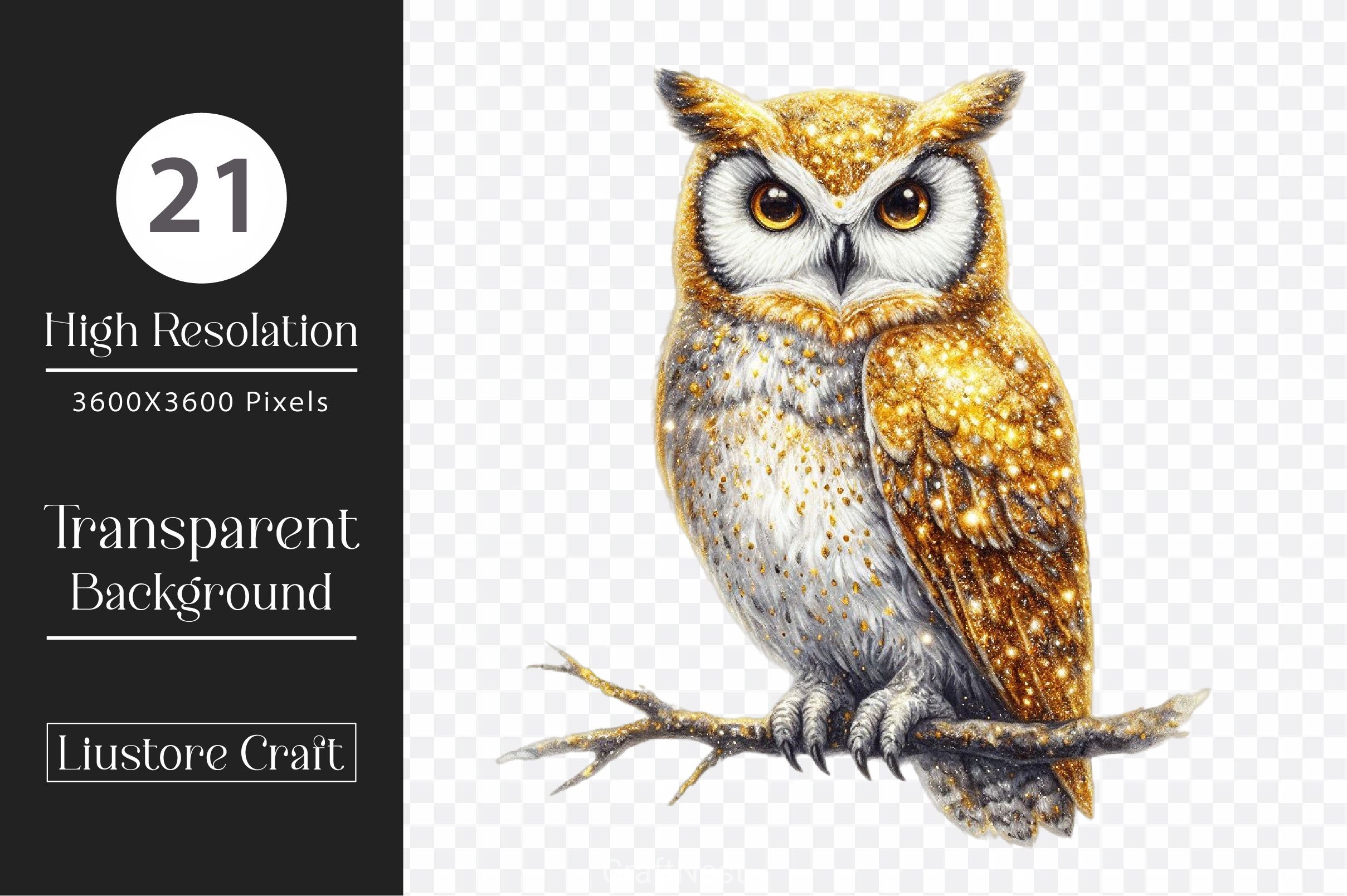 Bright Owl Clipart Bundle 2