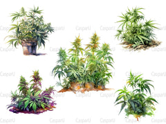 Cannabis Plants Clipart - CraftNest