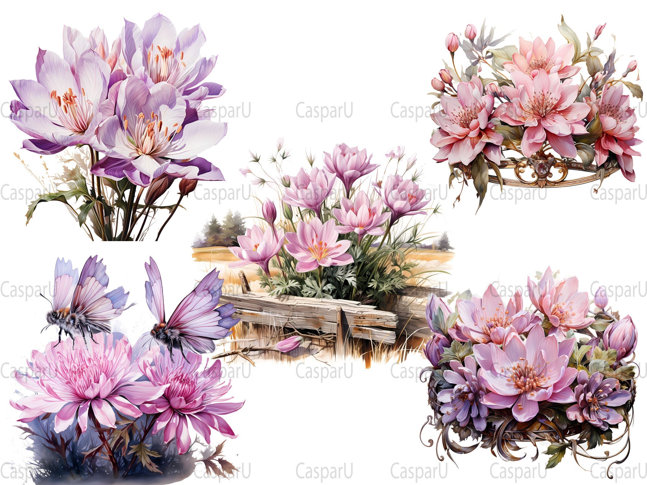 Colchicum Canvas Clipart - CraftNest