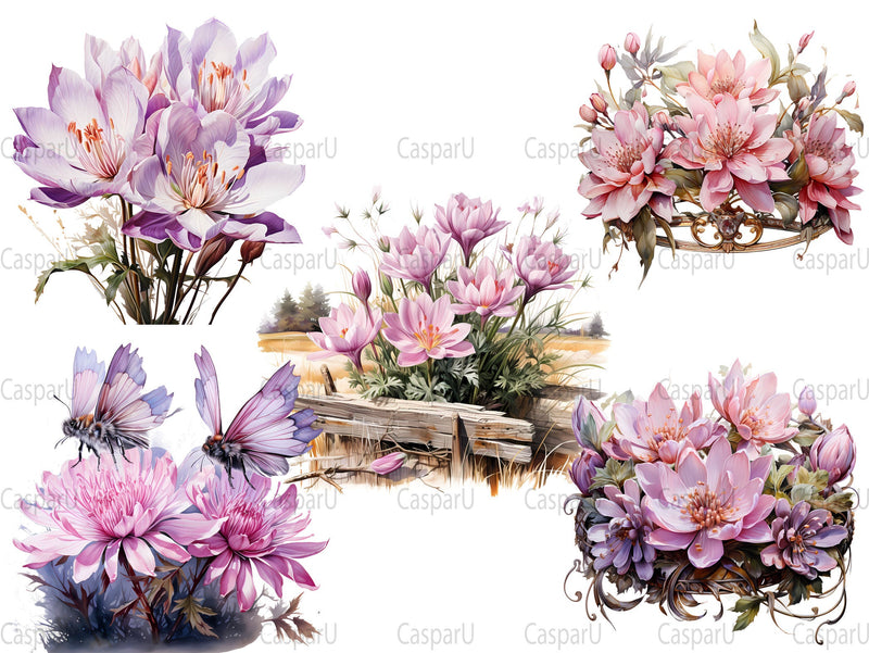 Colchicum Canvas Clipart - CraftNest
