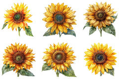 Summer Sunflower Clipart Bundle 1 - CraftNest - Digital Crafting and Art