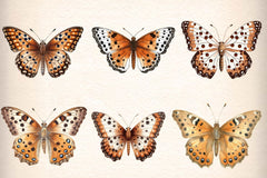 Vintage Butterflies Wings Clipart Bundle - CraftNest - Digital Crafting and Art