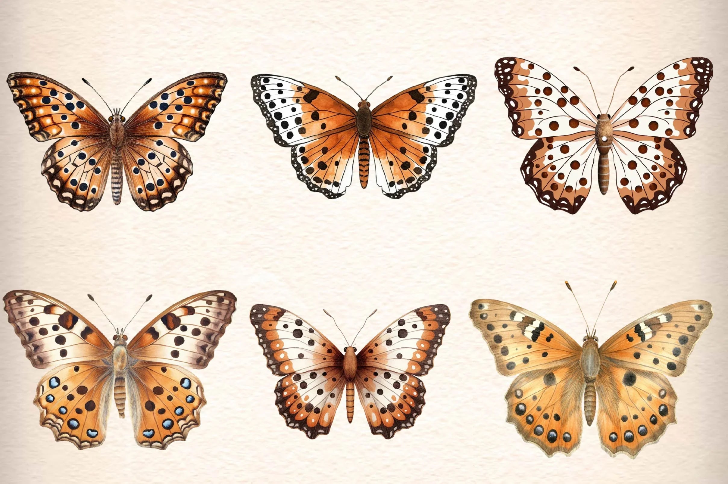 Vintage Butterflies Wings Clipart Bundle - CraftNest - Digital Crafting and Art