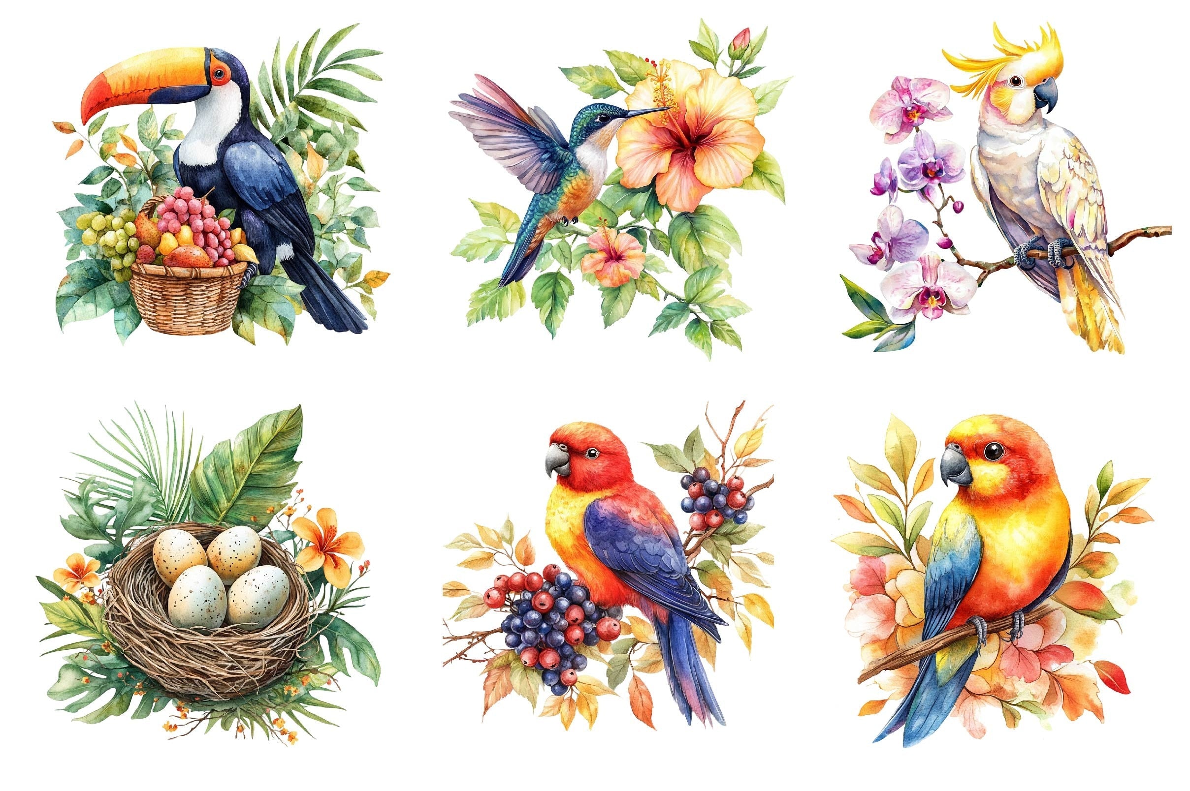 Tropical Birds Garden Clipart Bundle