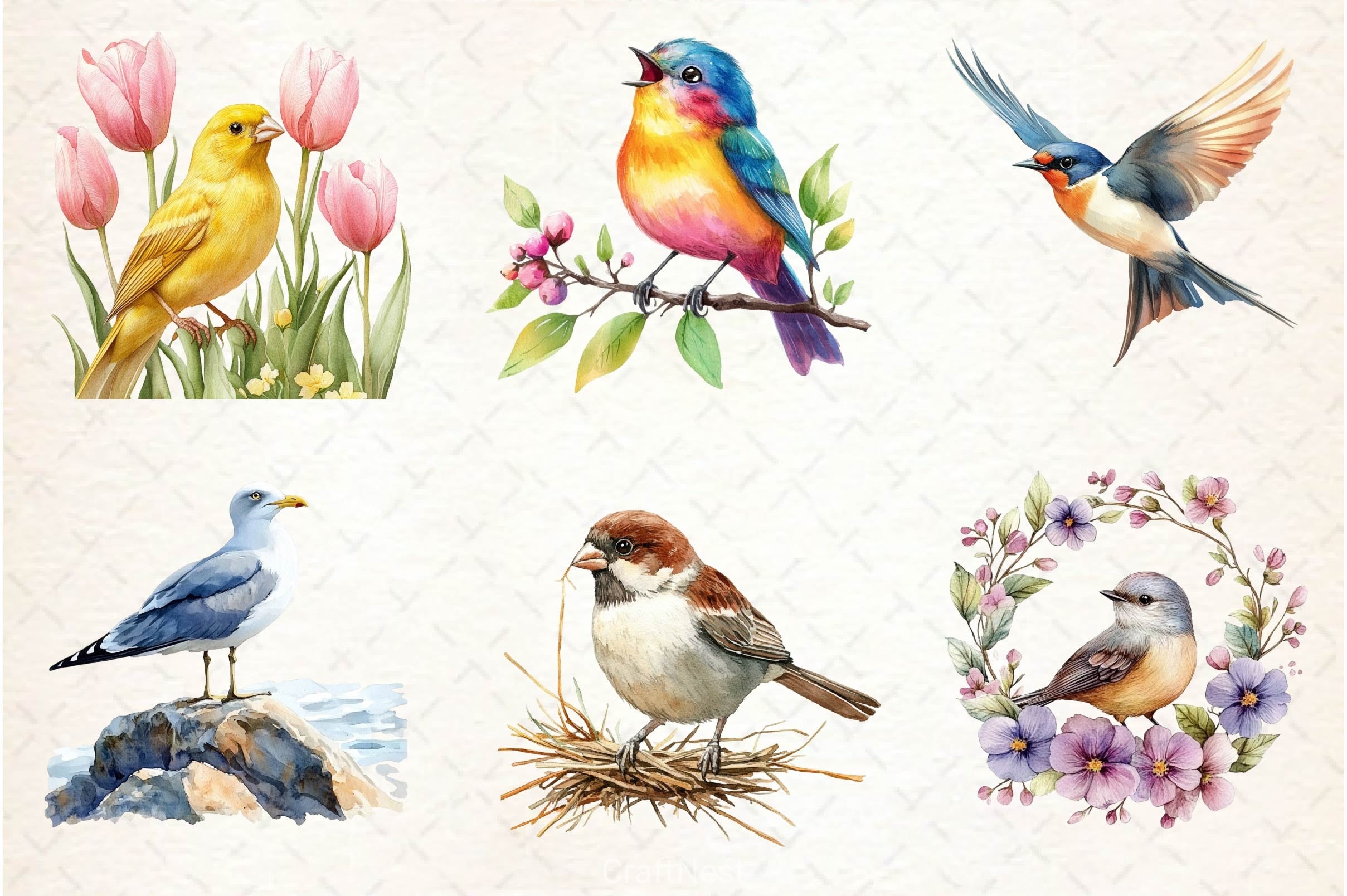 Spring Birds Clipart Bundle 5