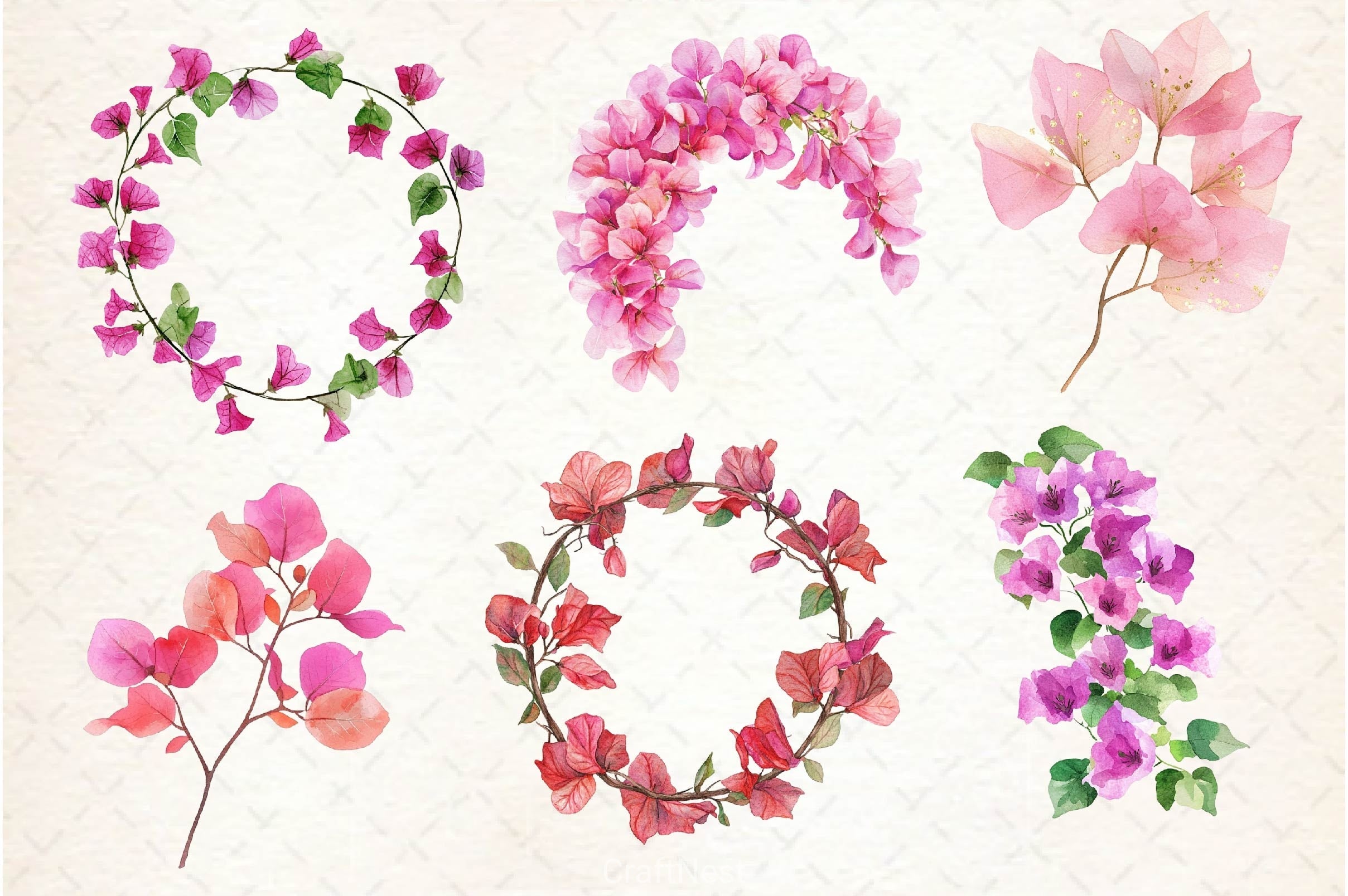 Bougainvillea Flower Clipart Bundle 5