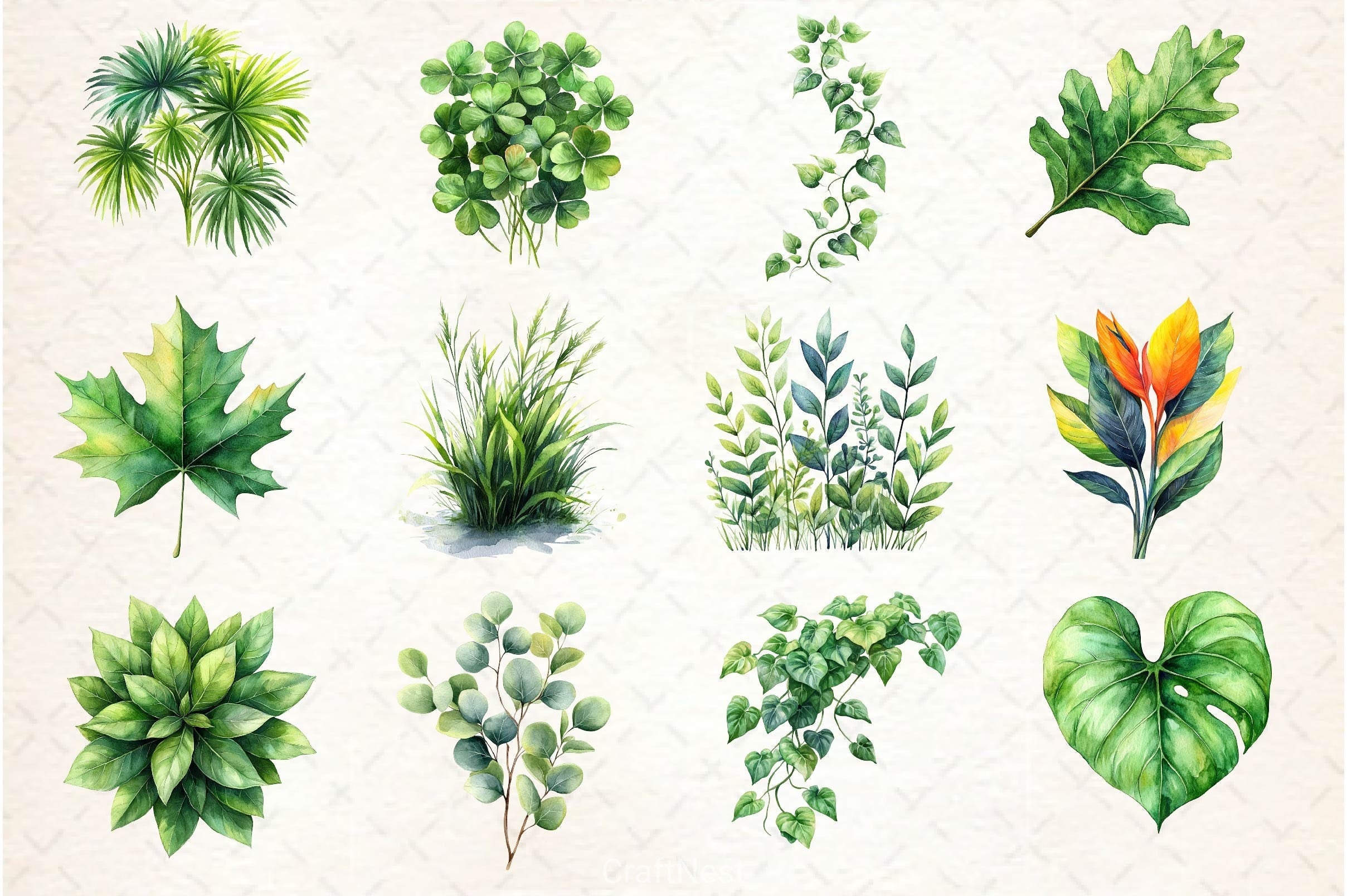 Green Summer Foliage Clipart Bundle 2