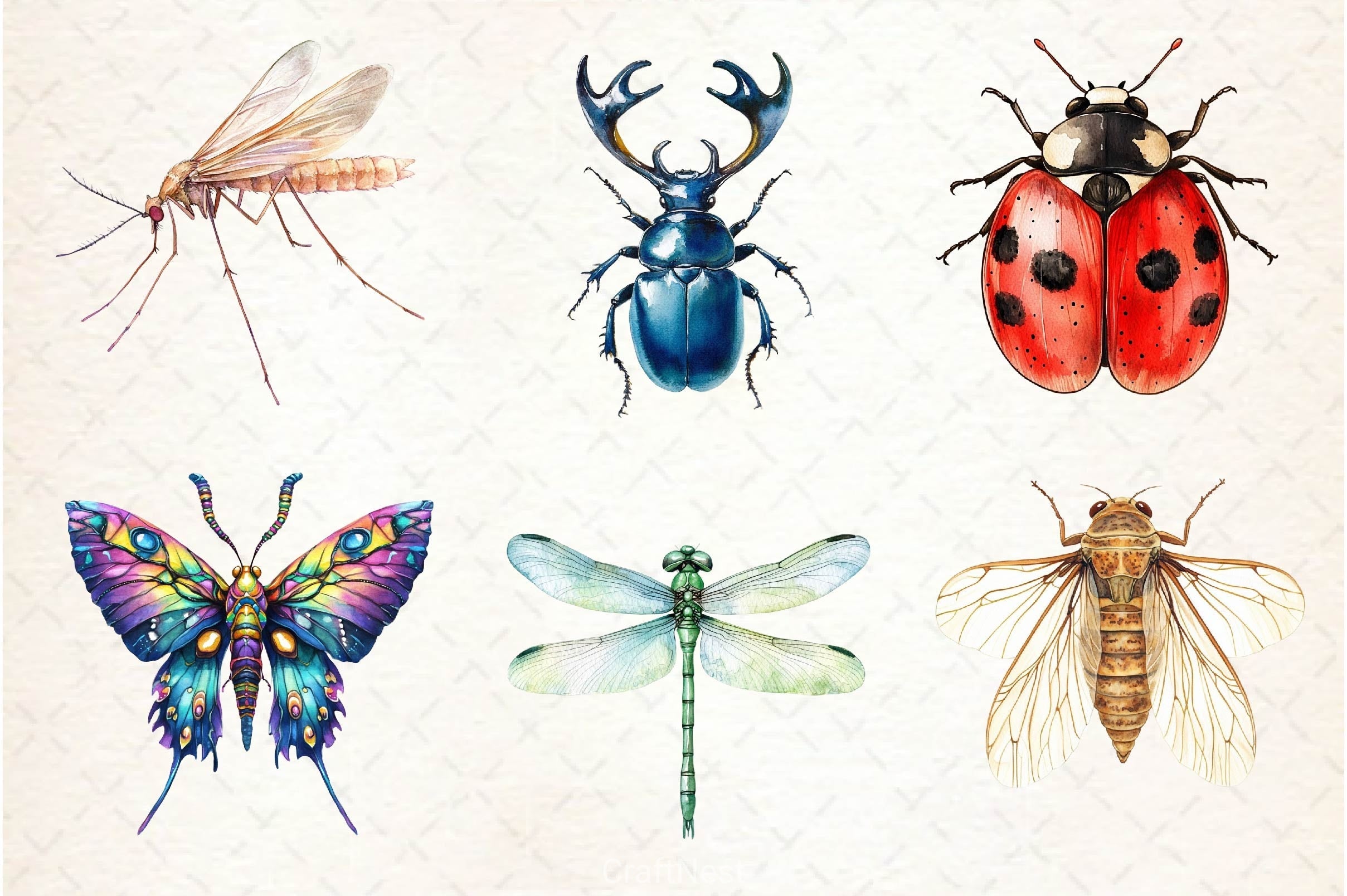 Bugs Clipart Bundle