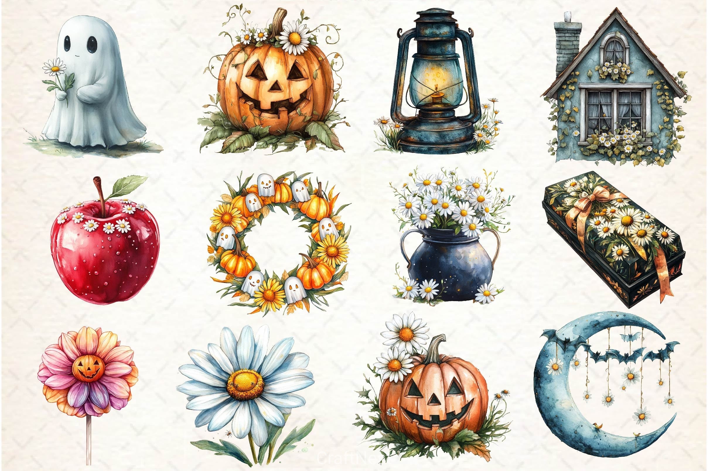 Daisy Flower & Halloween Clipart Bundle 2