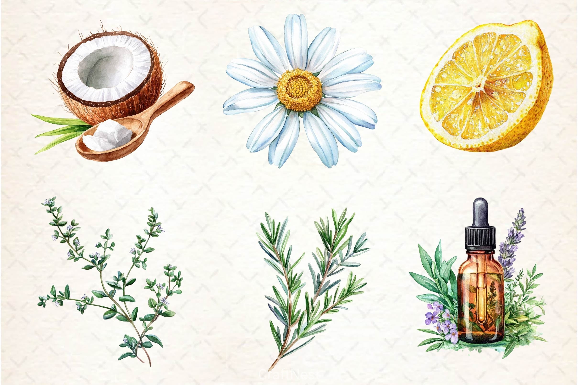 Natural Remedies Clipart Bundle 3