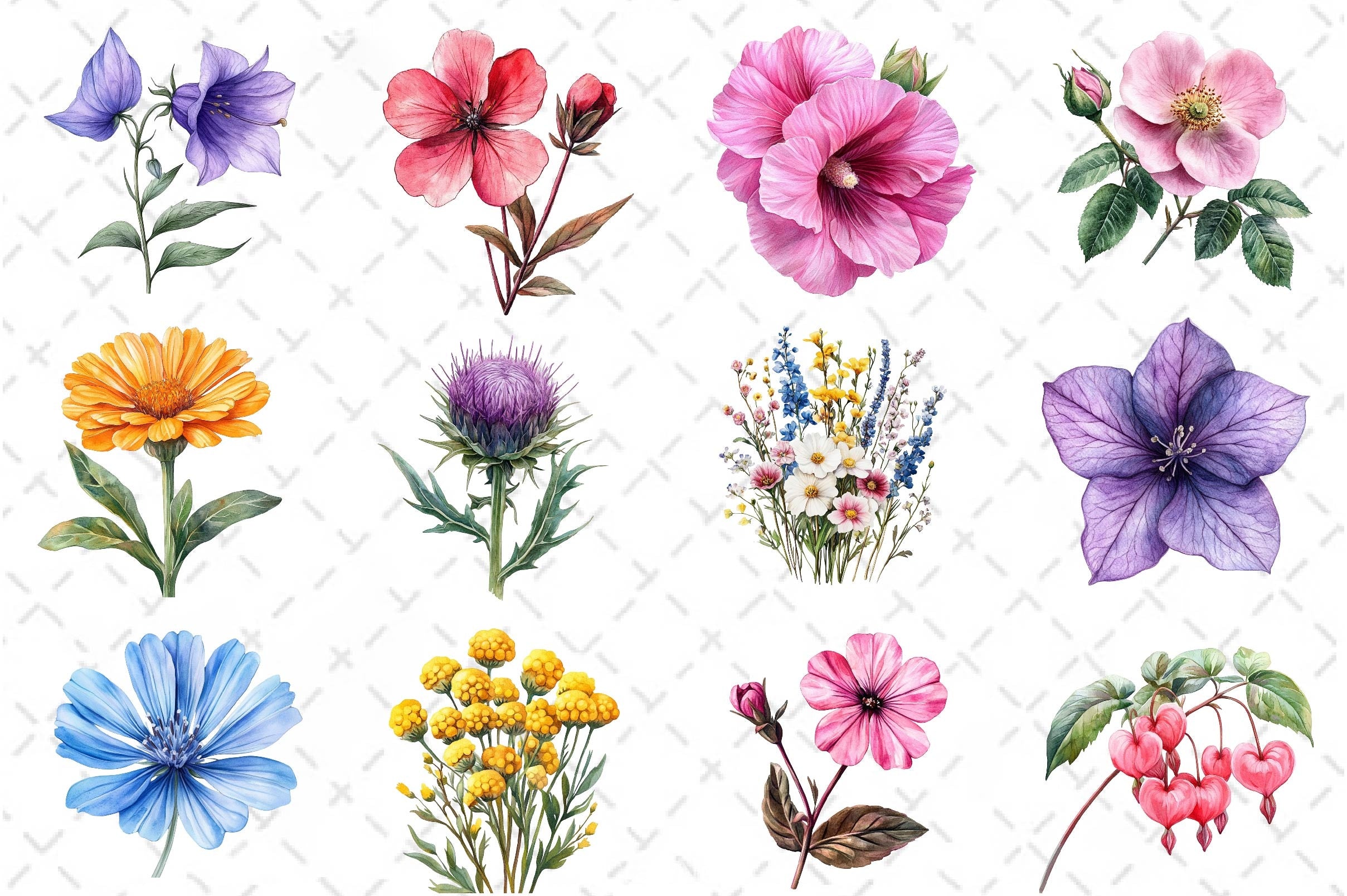Colorful Meadow Flower Clipart Bundle