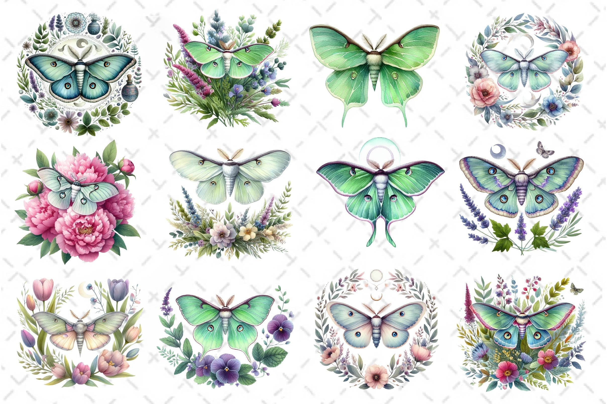Botanical Floral Luna Moth Clipart Bundle