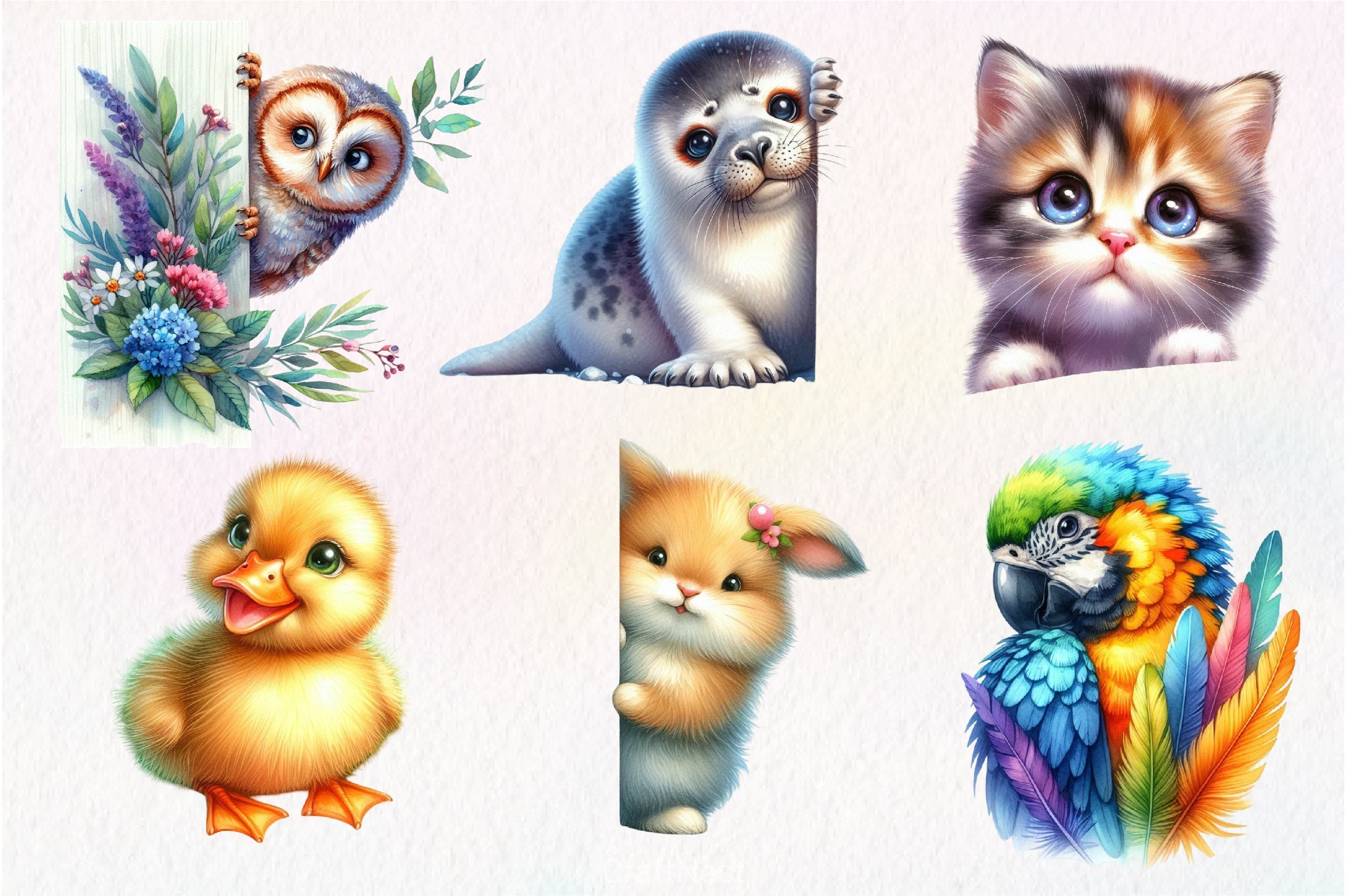 Animal Peeking Around Corner Clipart Bundle