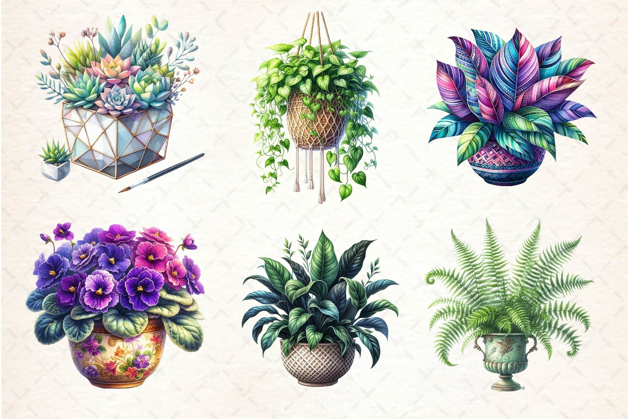 Houseplant Clipart Bundle 3