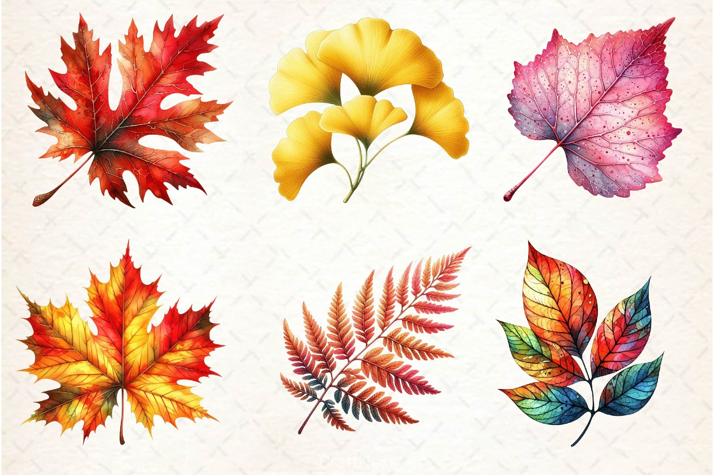 Autumn Leaf Clipart Bundle