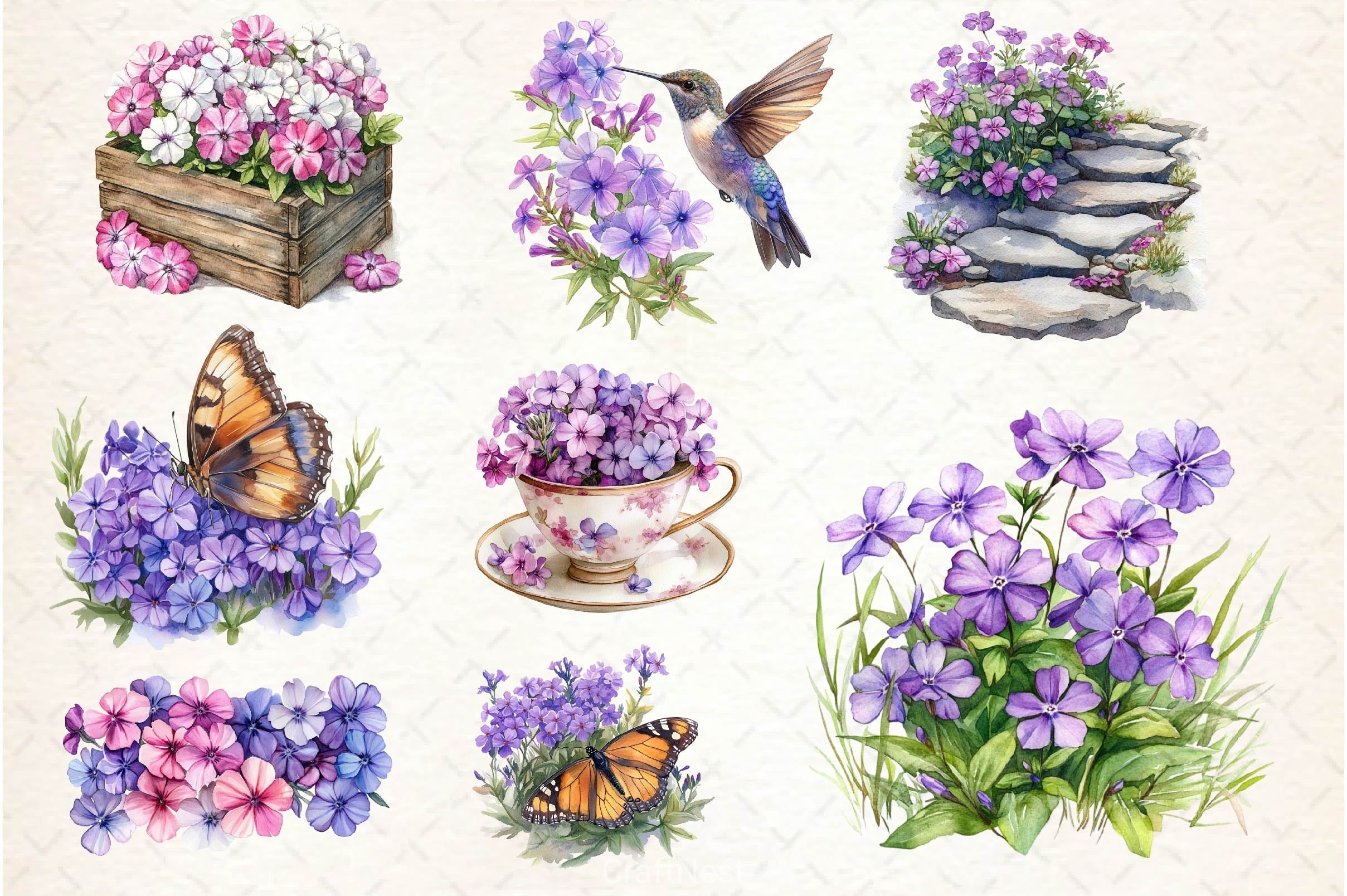 Spring Creeping Phlox Flower Clipart Bundle 1