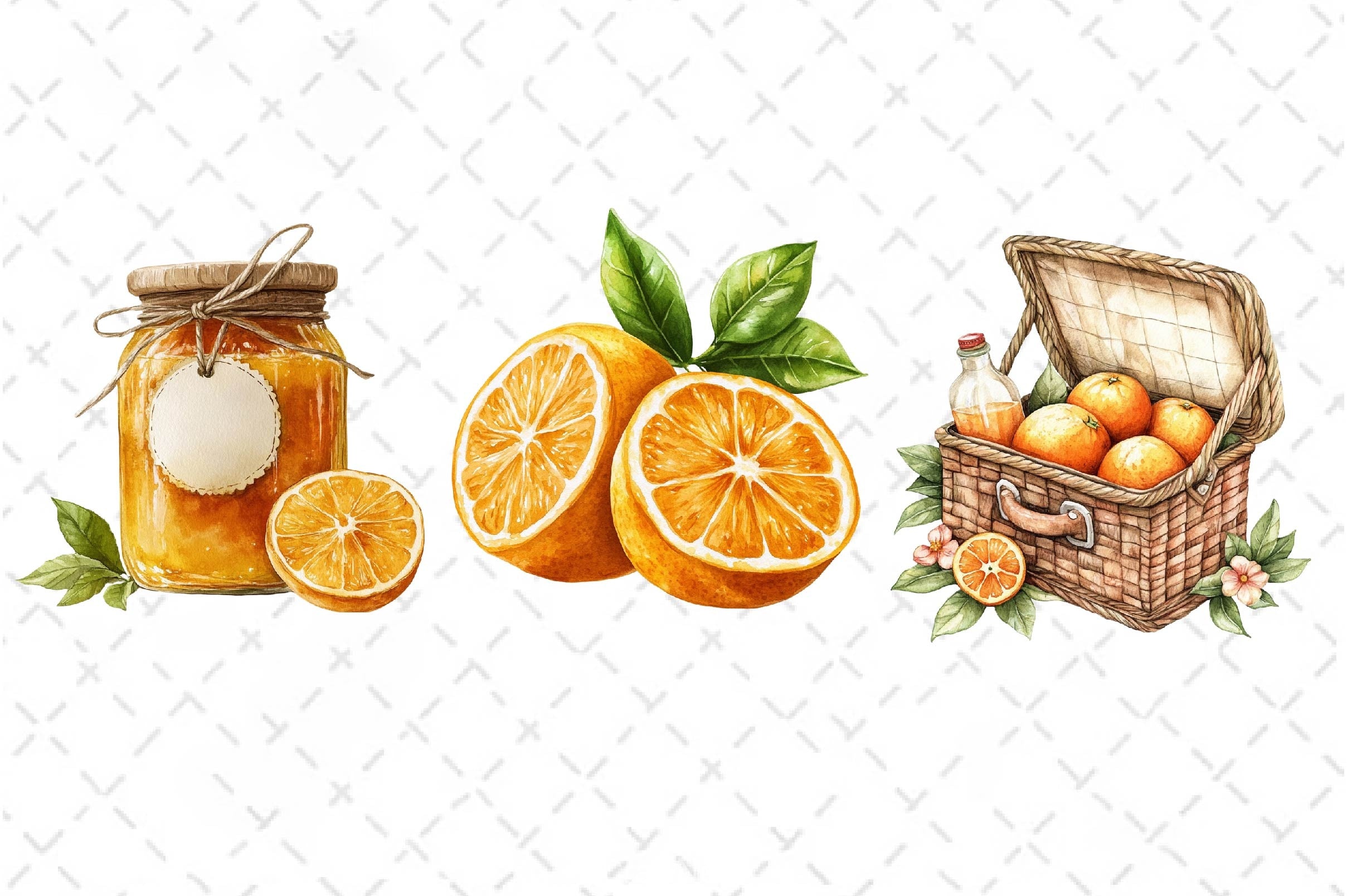Oranges Clipart Bundle 2