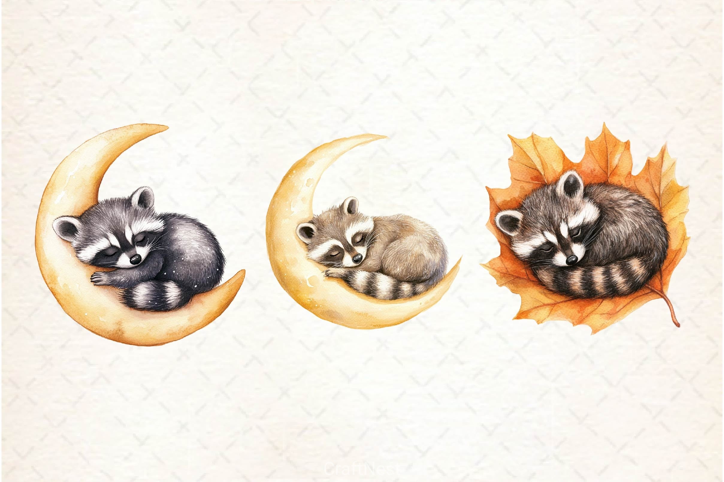 Raccoon Kit Clipart Bundle 2