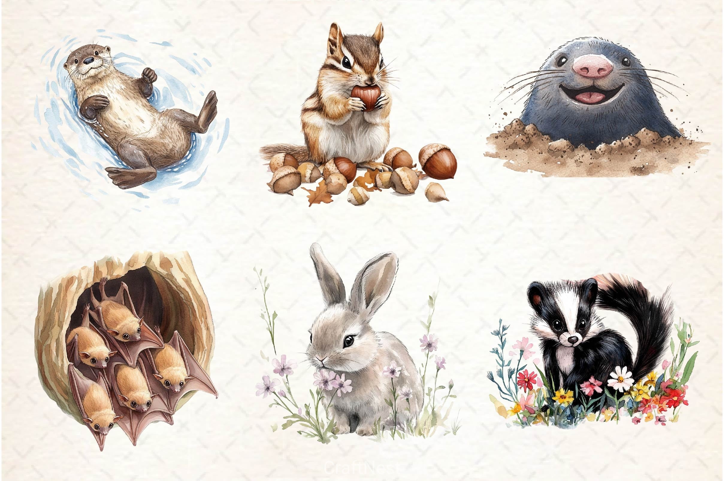 Woodland Forest Animals Clipart Bundle 7
