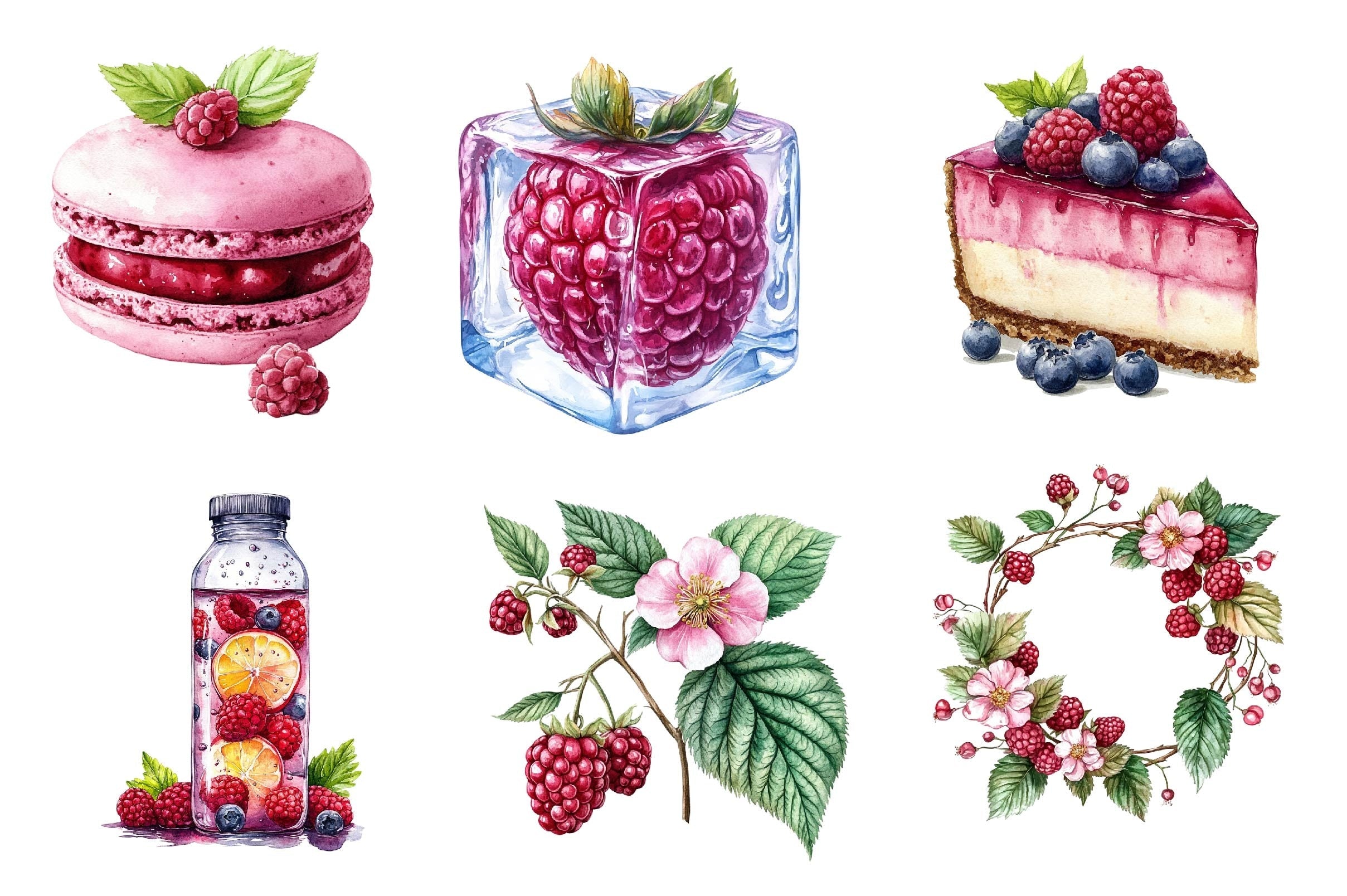 Raspberry Clipart Bundle 3