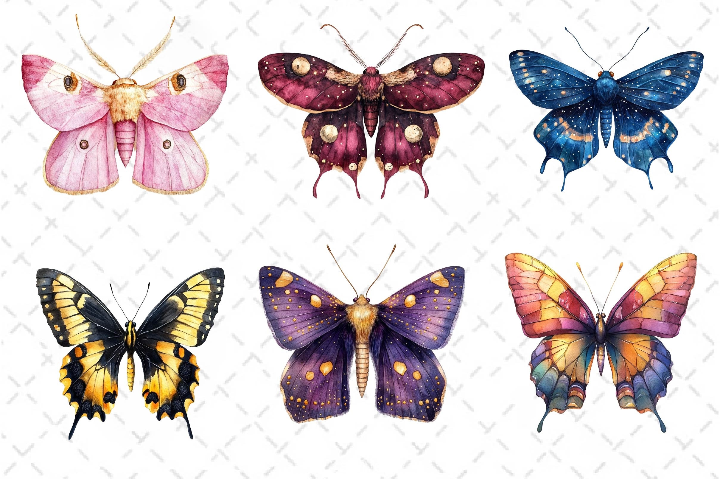 Insects Butterfly & Moth Clipart Bundle