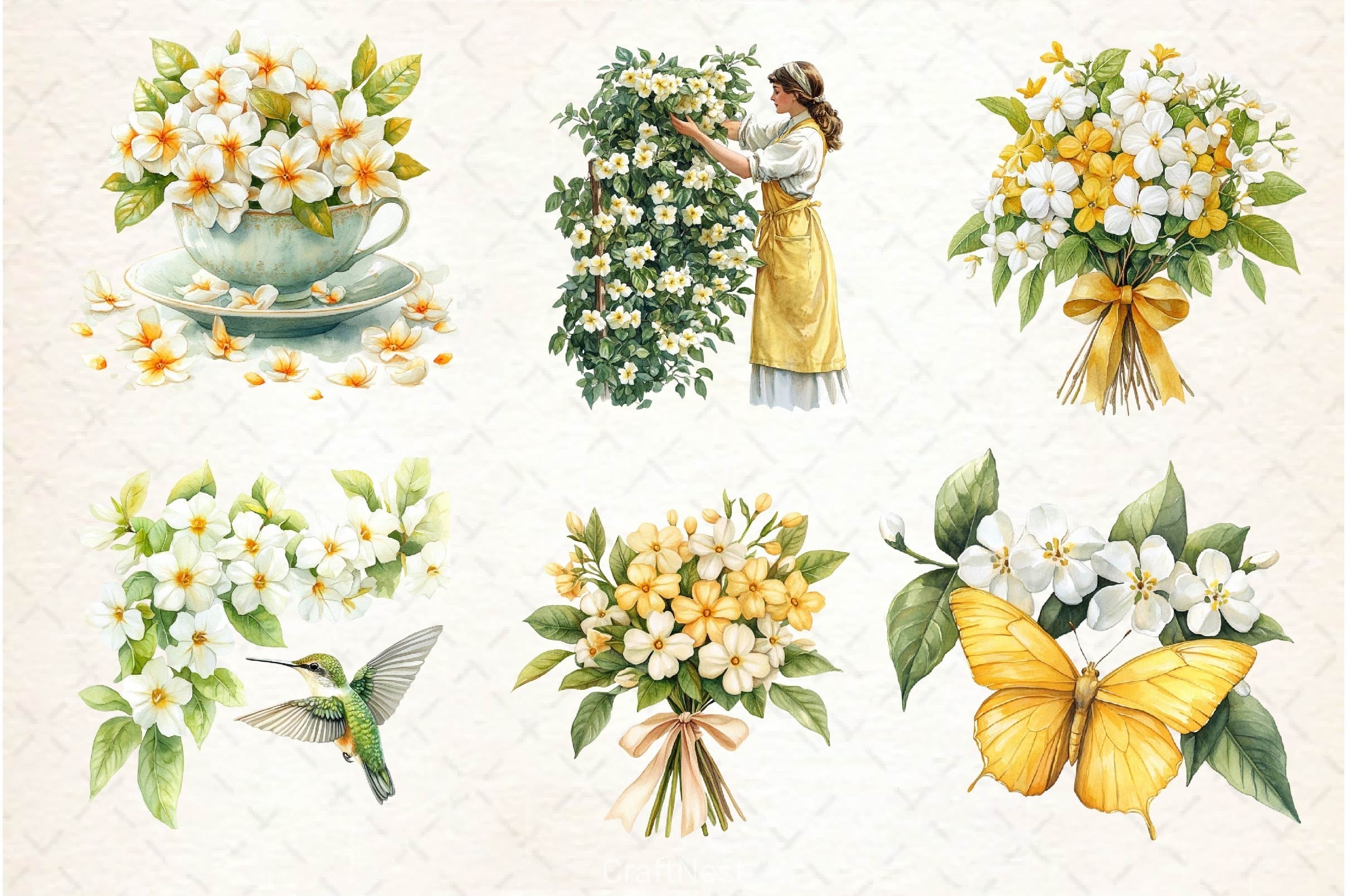 Spring Jasmine Flower Clipart Bundle