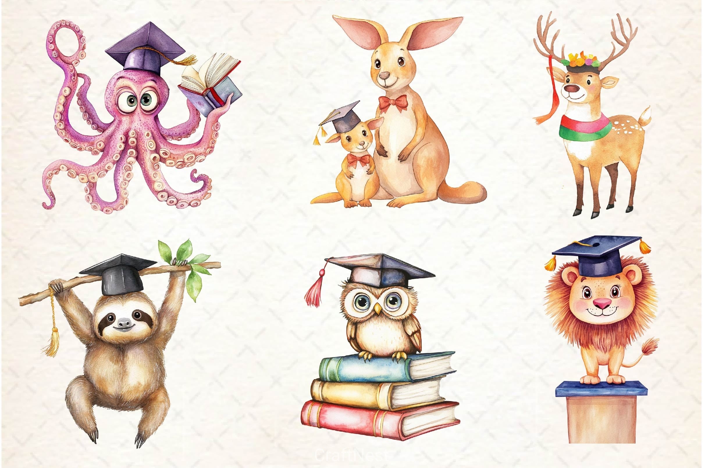 Cute Graduation Clipart Bundle