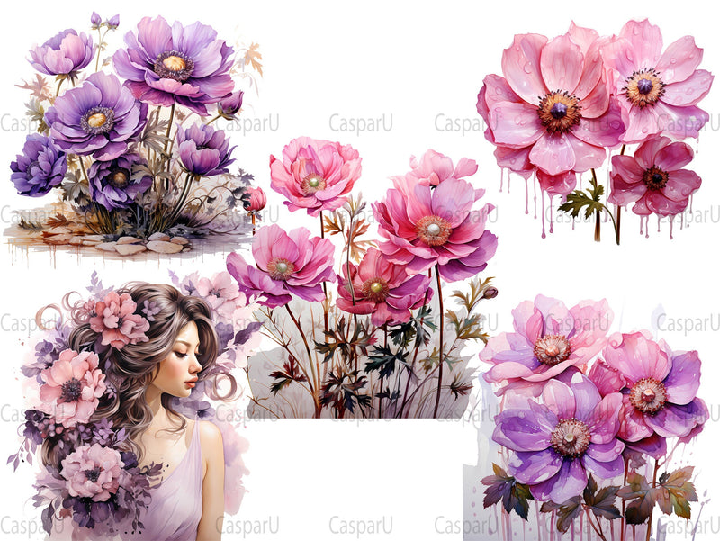 Anemone Afterglow Clipart - CraftNest