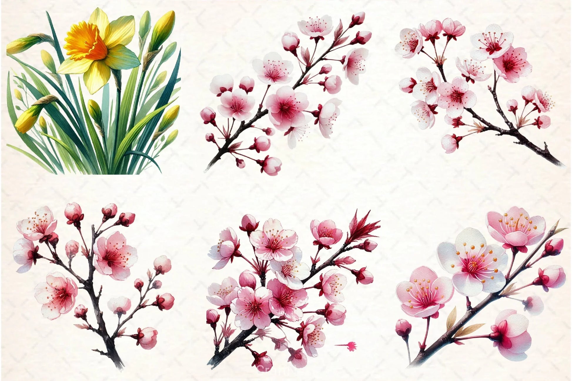 Spring Flower Clipart Bundle - CraftNest - Digital Crafting and Art